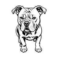 American pitbull terrier standing proud tattoo design idea