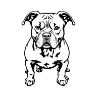 American pitbull terrier standing proud tattoo design idea
