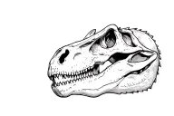 Dinosaur skull tattoo design idea