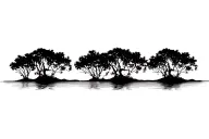 red mangroves in a row, naturally accurate walking roots  tattoo design idea