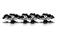red mangroves in a row, naturally accurate walking roots  tattoo design idea