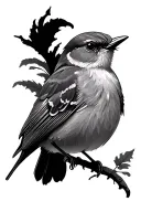 black and white robin tattoo design tattoo design idea