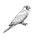 Peregrine Falcon tattoo design idea