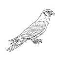 Peregrine Falcon tattoo design idea