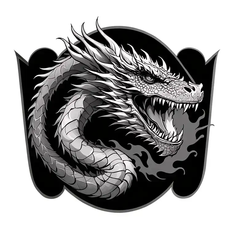 On my lower back is a dragon (side profile) with its mouth agape. On my upper back is the dragons tattoo design idea