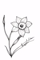 narcissus flower with Nolan name cursive writing attached end of stem fine line tattoo tattoo design idea