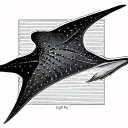 Eagle Ray tattoo design idea