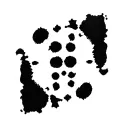 inkblot test tattoo design idea
