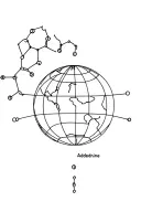 plane, molecular structures of dopamine and adrenaline. intertewined with a globe tattoo design idea