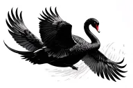 High contrast black swan flying tattoo design idea