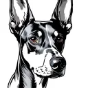 doberman dog head looking forward with 888 number written tattoo design idea