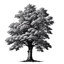 vermont sugaring maple tree tattoo design idea