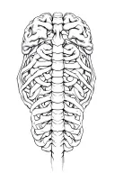 brain stem and spinal cord tattoo design idea