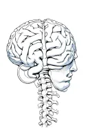 brain stem and spinal cord tattoo design idea