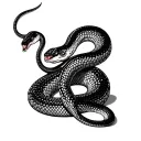 Mexican Snake tattoo design idea