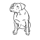 black Labrador tattoo design idea