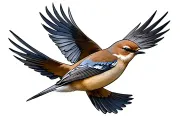 mocking bird flying tattoo design idea