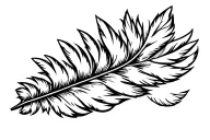 cherokee indian feather  tattoo design idea