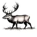 Scottish stag tattoo design idea
