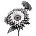 GERBERA DAISY tattoo design idea