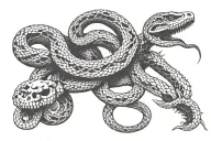 Skeletal snake and normal snake separate  tattoo design idea