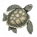 sea turtle shell turn in to a cross intertwined tattoo design idea