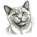 british shorthair white with grey face and green eyes tattoo design idea