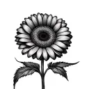 Gerbera tattoo design idea