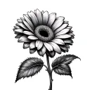 Gerbera tattoo design idea