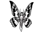 moth tattoo traditional style fine lines tattoo design idea
