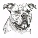 American bulldog memorial tattoo tattoo design idea