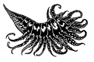 cuttlefish tattoo design idea