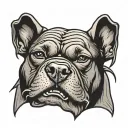 Pitbull dog, angry with old school fangs tattoo design idea