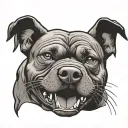 Pitbull dog, angry with old school fangs tattoo design idea
