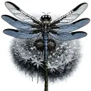 Dandelion Dragonfly tattoo design idea