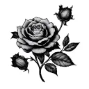 Bbw tattoo design idea