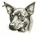 A brown miniature pinscher dog head tattoo design idea