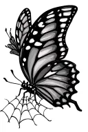 Butterfly in spider web tattoo design idea