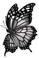Butterfly in spider web tattoo design idea