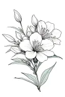 oleander flower blooming tattoo design idea