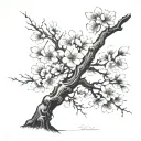 cherry blossom tree tattoo design idea