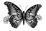 "Ashok" butter fly tattoo design idea
