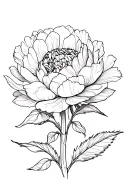 peony flowers with all earths elements incorporated tattoo design idea