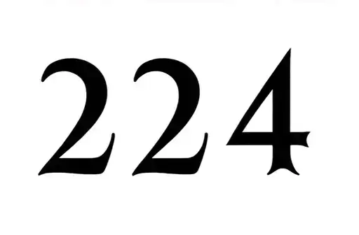 "224" tattoo design idea