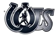 using the air Jordan logo, the Indianapolis colts logo, tiger woods logo, the Kobe Bryant tattoo design idea