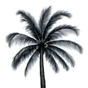 3 Palm Tree tattoo design idea