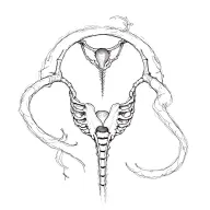 abortion tattoo design idea