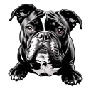 american bully dog tattoo design idea