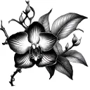 Aquarius, 2006, orchid, Aquarius constellation  tattoo design idea