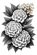 hydrangea and wattle flowers tattoo design idea
